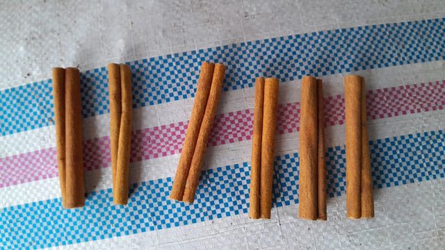 Cinnamon - Image 3