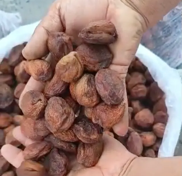 Dried apricot - Image 1