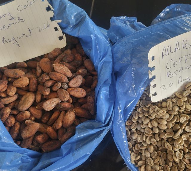 high Grade Sun Dried Cocoa Beans - Image 1