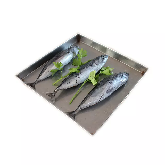 Frozen Skipjack Tuna Fish High Protein Ocean Harvest Selection For Wholesale Seafood Import And Export Demand - Image 3