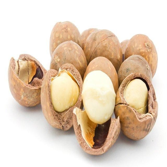 Export Macadamia Nuts Premium Grade Whole Kernels Clean Fresh High Nutrition Suitable For International Buyers Chocolate And Bakery Industry Buy Now Fast Delivery Premium Quality Wholesale – product photo 4, product detail gallery