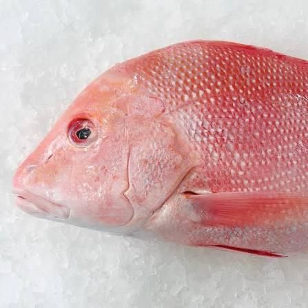 Frozen Red Snapper Emperor Fish Flavor Mild Texture Firm Degree of Processing Whole Fish - Image 3