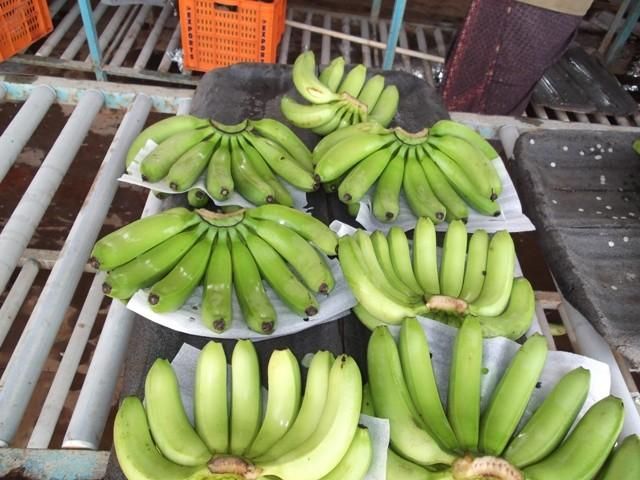 Best Quality - fresh Green Banana - Tropical BANANA Style Cavendish customized packaging - Natural Green Bananas - Image 3