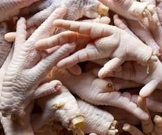 Premium Frozen Chicken Paws – Wholesale Bulk Supply for Export - Image 5