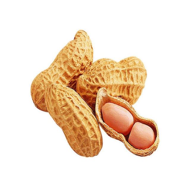 Newly Cultivated 100% Natural Organic Raw Peanut With Shell For Strong Nutritional Healthful Snacks High Energy Peanuts In Shell - Image 4