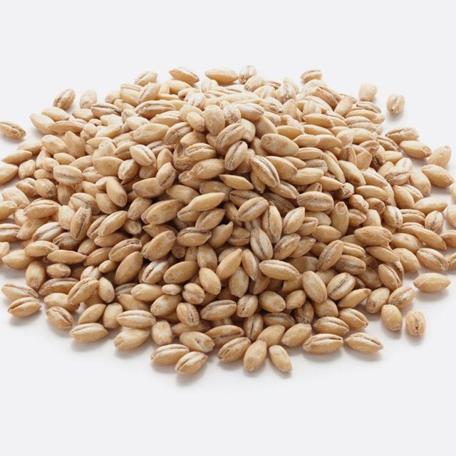 Barley Grains Premium Barley Seeds Shelf Life 2 years Packaging Size > 25 kg Place of Origin Romania Brand Name Barley Grains - Image 4