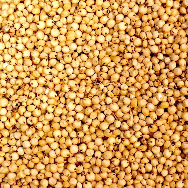sorghum Origin India Product Type Cereals & Cereal Products Features Gluten-Free, Lactose-Free, Vegan - Image 2