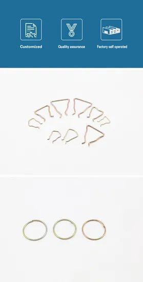 Customized Steel Wire Formed Clothes Clip Circular Spring - Image 4