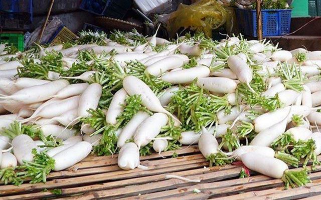 FRESH WHITE RADISH FOR SALE 2019 Type Radish Color White Style Fresh Weight (kg) 1 Content RADISH Taste Delicious Shelf Life 20 - Image 2