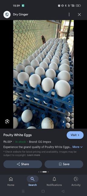 Eggs Color White Animal Species Chicken, Chickens - Image 2