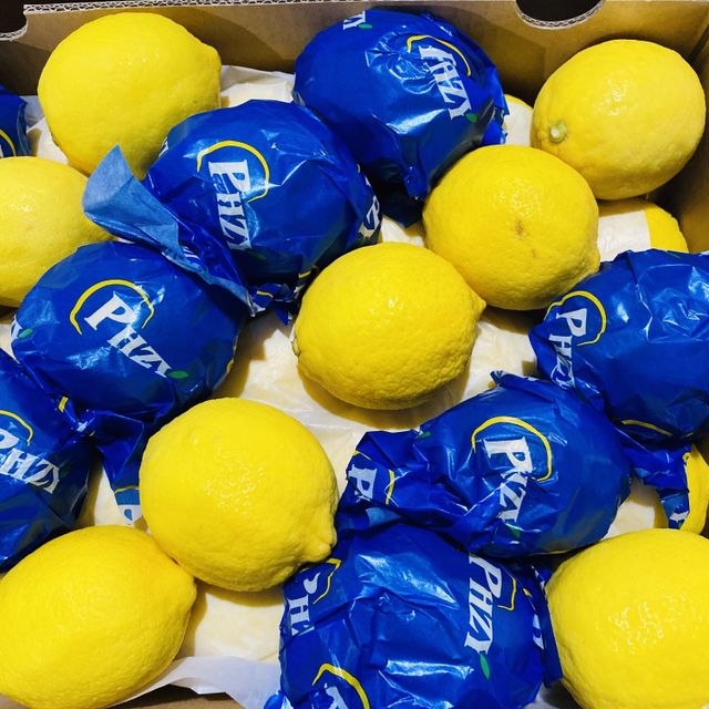 Fresh Lemons - Grade A, Organic Non-Peeled Yellow Citrus | Fresh, Premium Quality for Culinary Excellence - Image 5