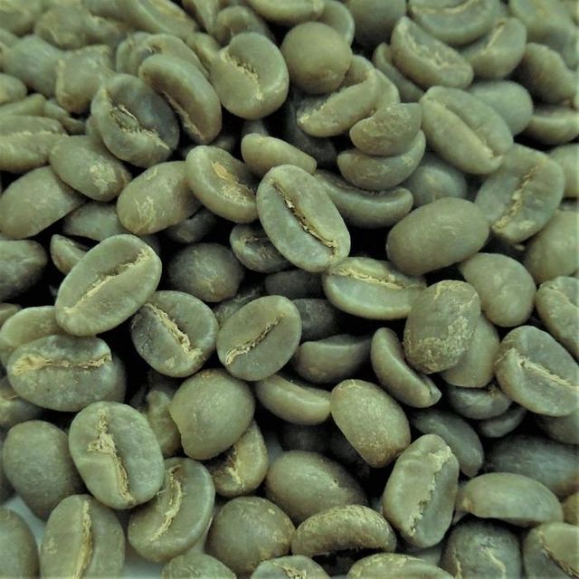 Wholesale Green Coffee Beans for Coffee Shops and Roasting Businesses Focused on Flavor and Product Consistency – product photo 5, product detail gallery