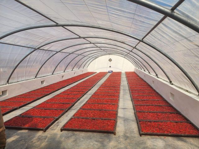 Whole Dried Red Chilli - Image 1