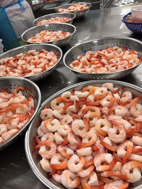 Cooked Vannamei Shrimp PDTO - Image 1