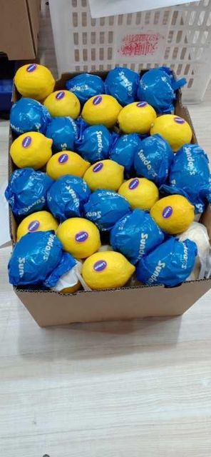 Fresh Premium Chinese Lemons for Global Market Supply Grade A Shape oval Taste acid Size 80-200g Texture Smooth Storage Type 4-8° - Image 4