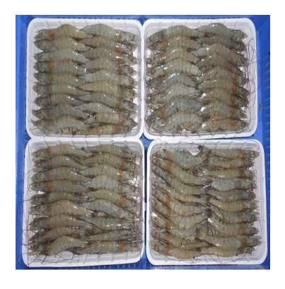 Frozen Vannamei Shrimp with Competitive Price and Good Quality - Image 3