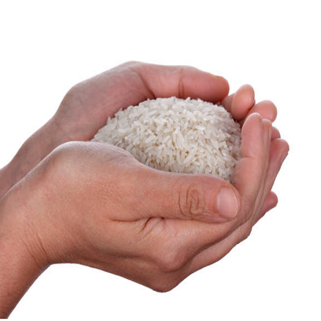 Jasmine Rice 10kg 25kg 50kg Premium Thai Fragrant Rice Long Grain Fresh Crop Natural Aroma Soft Cooking Texture Ideal For Kitchen Restaurant And Food Service Buy Today Premium Quality Wholesale - Image 3