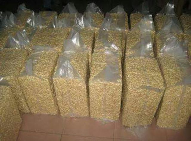 *CASHEW nuts _with WW180, WW240, WW320, WW450 Grade good grade A Max. Moisture (%) 7% Packaging 80kg jute bag suitable for sea freight - Image 3