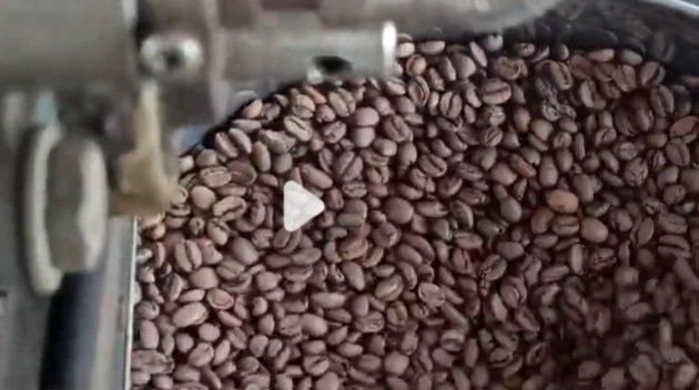Black Coffee Roasted Beans Grade 1 - Image 2