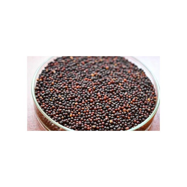 Rapeseed offered at discount price for bulk oil extraction and feed use - Image 3