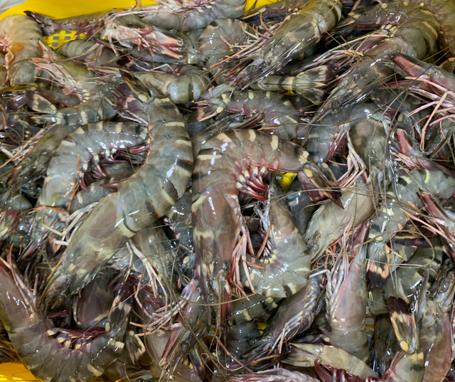 Prawns & Crab Organic Yes Freshness Level Fresh Catch Method Wild-Caught - Image 4