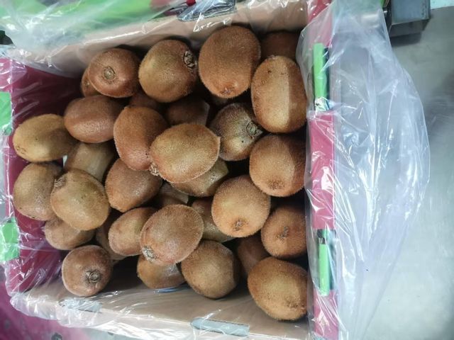 Top Grade Chinese Kiwifuit for Export with High Sweetness Shape Oval Texture Firm Grade Class 1 Brand Name OEM Size 25-33 count - Image 3