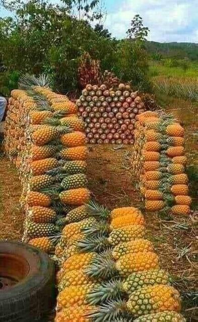 Premium quality Pineapple - Image 1