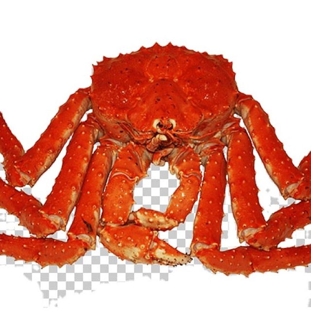 Frozen Red king Crab/Wholesale Frozen King Crab 2019 For Sale. - Image 3