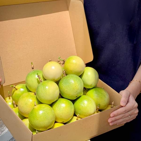 Golden Passion Fruit - 100% High Quality from Vietnam - Best price for export - Image 5