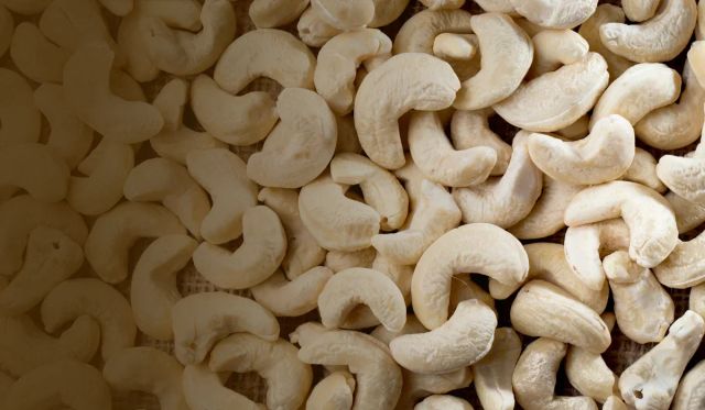 CASHEW NUTS Form Peeled Grade w180 or w240 Grades W180 And W240 Processing Type shelled and peeled Degree of Processing Natural, Unsalted - Image 2
