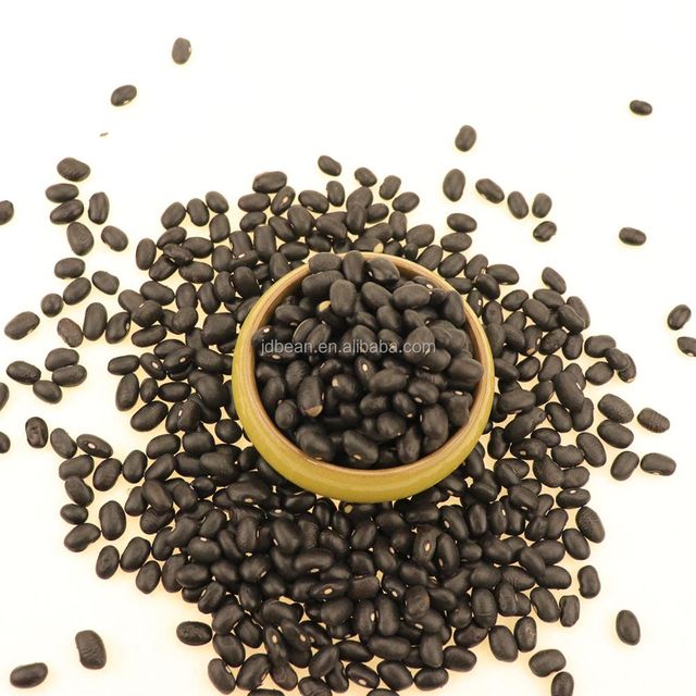Wholesale Dried Organic 500 550 Small Black Beans Black Kidney Beans - Image 3