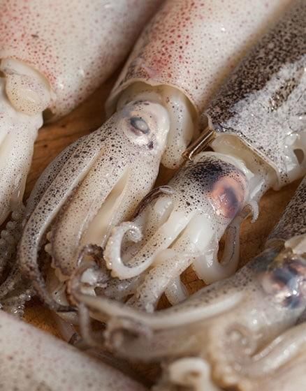 Frozen Small Squid Grade Aa Size 41/50 Moisture Content ≤ 5% Certification Haccp Certified Storage Temperature –14°c Or - Image 1