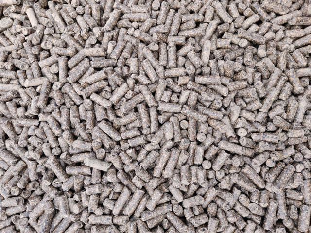 sunflower meal - Image 1
