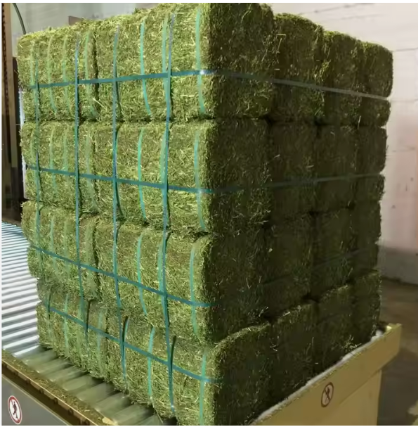 Alfafa Hay For Animal Feeding Grade Top Place of Origin USA Type Premium Grade - Image 2