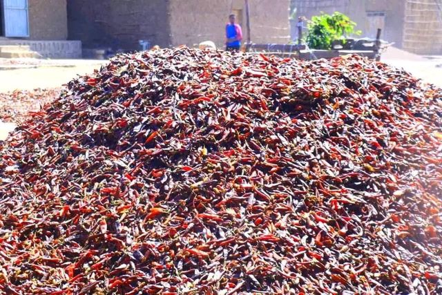 Freshdi Premium Ethiopian Dried Red Hot Chili Pepper - Authentic Whole Capsicum Spices - Image 3