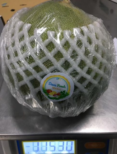 Yam Bean - Image 1