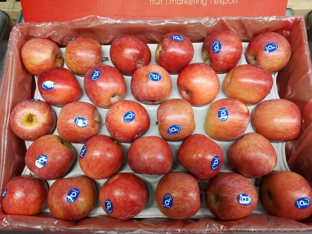 Fresh Fuji Apples for sale class 1 export quality - Image 1