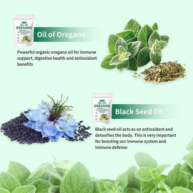 Organic oregano extract high potency herbal supplement black seed oil oregano soft gel capsules immune system digestive seasonal health dietary supplement - Image 6