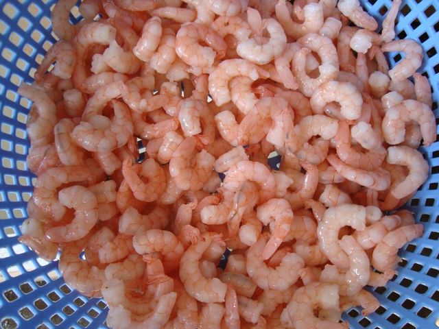 Frozen Tiger Shrimps / vannamei shrimp / Lobsters Packaging 10kg Form Deepfrozen, Iqf Shelf Life 24 months Style Frozen, Bt.choso - Image 4