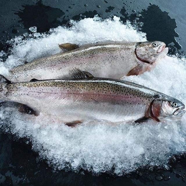 High Demand Atlantic Cod Fresh Frozen Premium White Fish for Bulk Buyers Restaurants Hotels and Food Service - Image 4