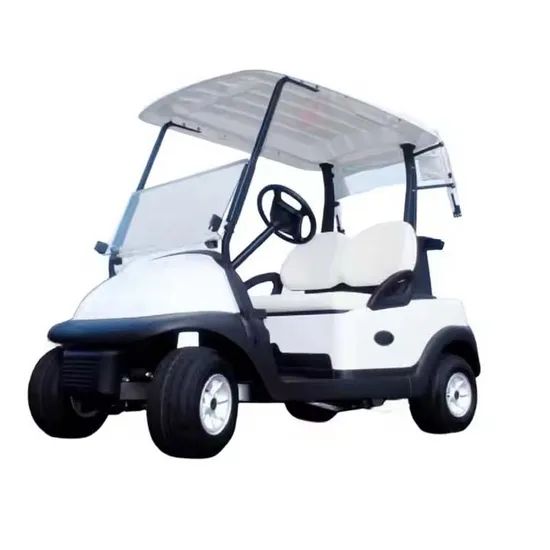 Custom Golf Cart Electric Car Golf Equipment Golf Trolley Service OEM Power 600-1700W Color Customized Battery 8V 6 - Image 3