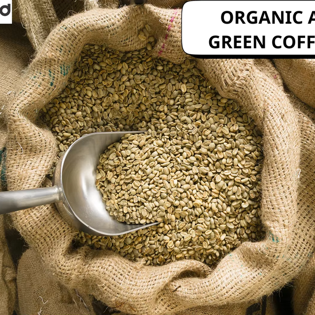 Vietnam Arabica Green Coffee Beans Screen 16 Pure Natural Bulk for Roasting Stable Quality Wholesale Export - Image 3