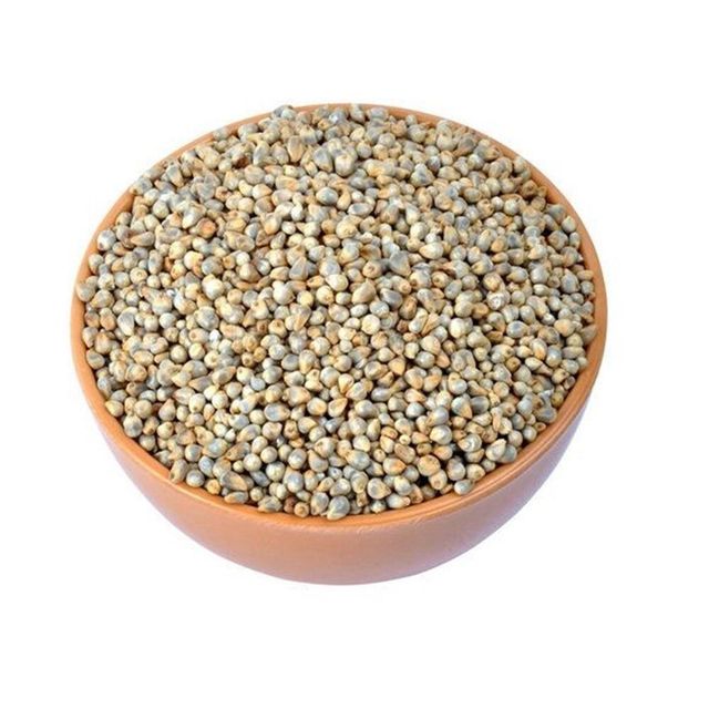 Natural pearl millet wholesale bulk order clean grains reliable shipment - Image 2