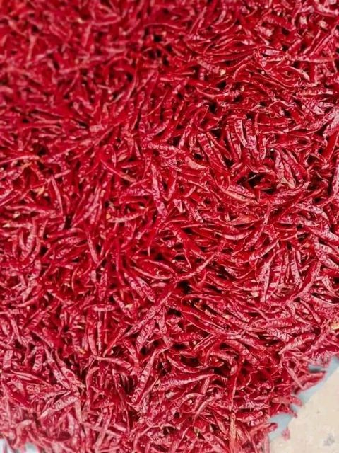 Red Chilli - Teja S17 Material Raw Shelf Life 12 months Place of Origin INDIA Max. Moisture (%) Below 12% Brand Name JRR - Image 5