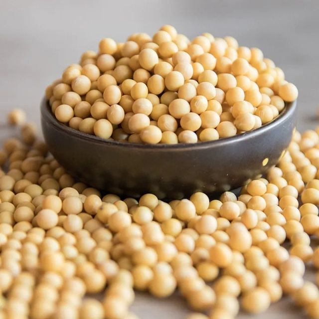 Organic Yellow Soybeans – Non GMO Soybeans for Export Organic Powder Herba Spices Wholesale Price - Image 4
