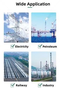 Wire Type Zinc Oxide Arrester Size Meidum Shape Pillar Material ZnO Origin China Brand Anhuang Model NO. 45Q300mm HS Code - Image 3