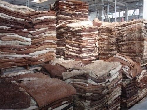 Wet & Salted Donkey and Cow hides - Image 2