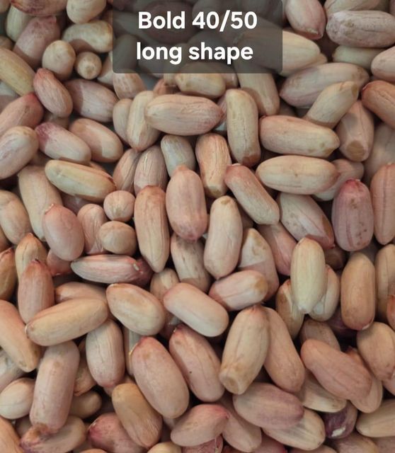 Bold Long shape peanut 40/50 - Image 1
