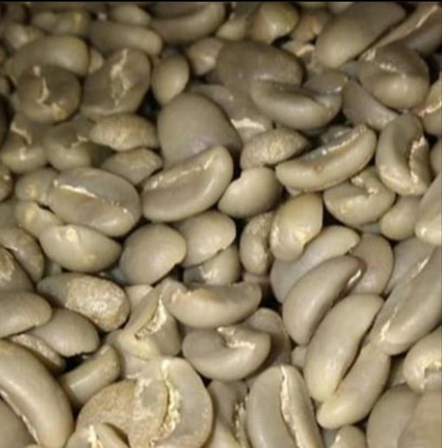 Premium Gayo Arabica Fully Washed - Image 2
