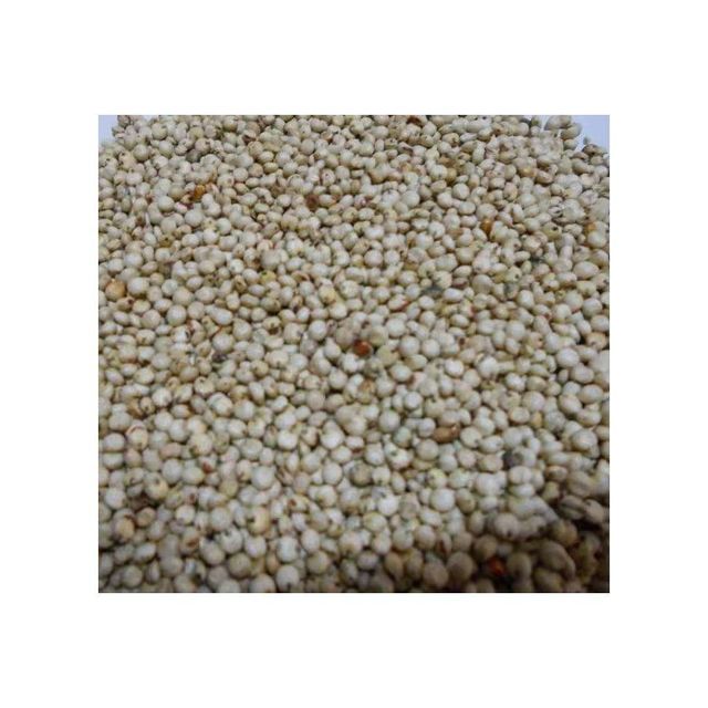 High-quality sorghum grains ideal for human consumption and livestock feed - Image 2